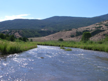 Diamond Fork and Sixth Water Creeks Riparian Vegetation, Geomorphic, and Benthic Macroinvertebrate Monitoring