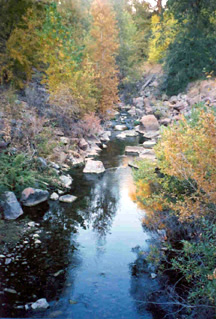 Lower Provo River and Hobble Creek Flow Recommendations
