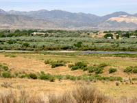 Salt Lake County Natural Areas Management Plan