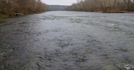 Lower Colorado River Instream Flow Study