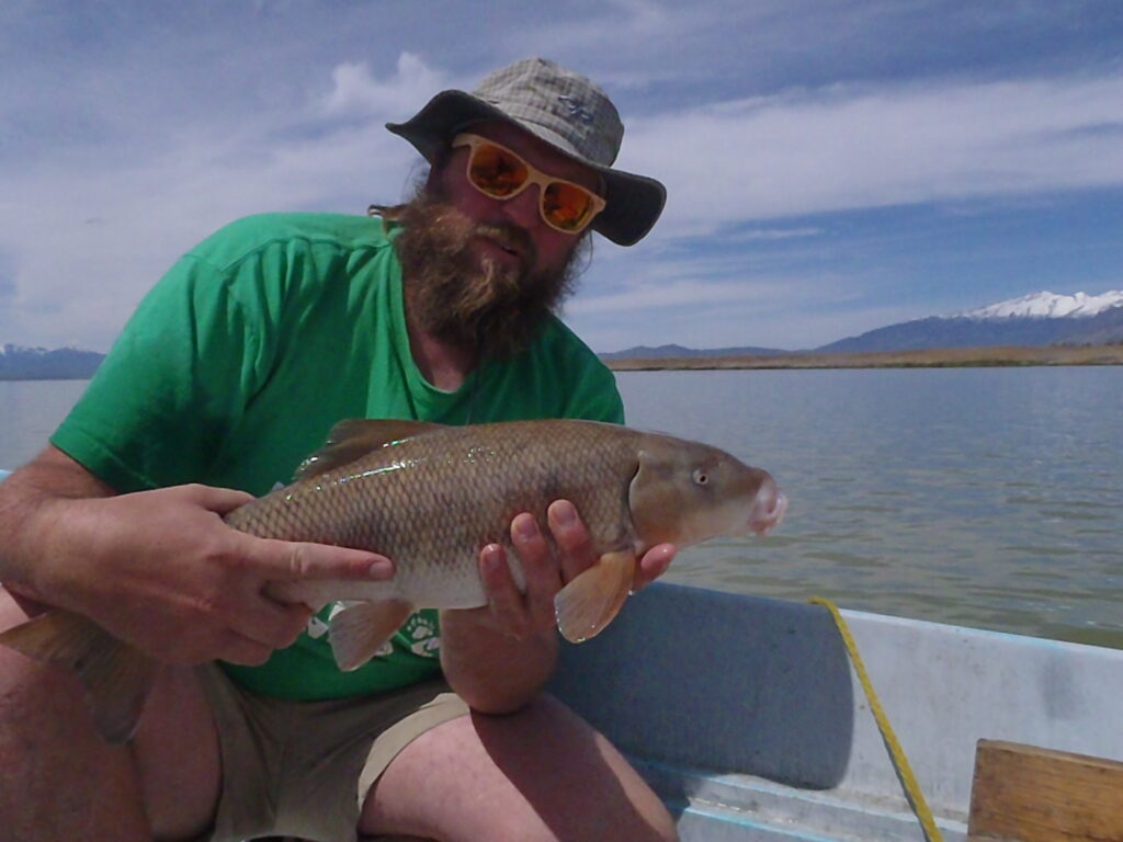 Ryan Dillingham holds one of the fish he studied while researching ecosystem restoration methods at Utah Lake