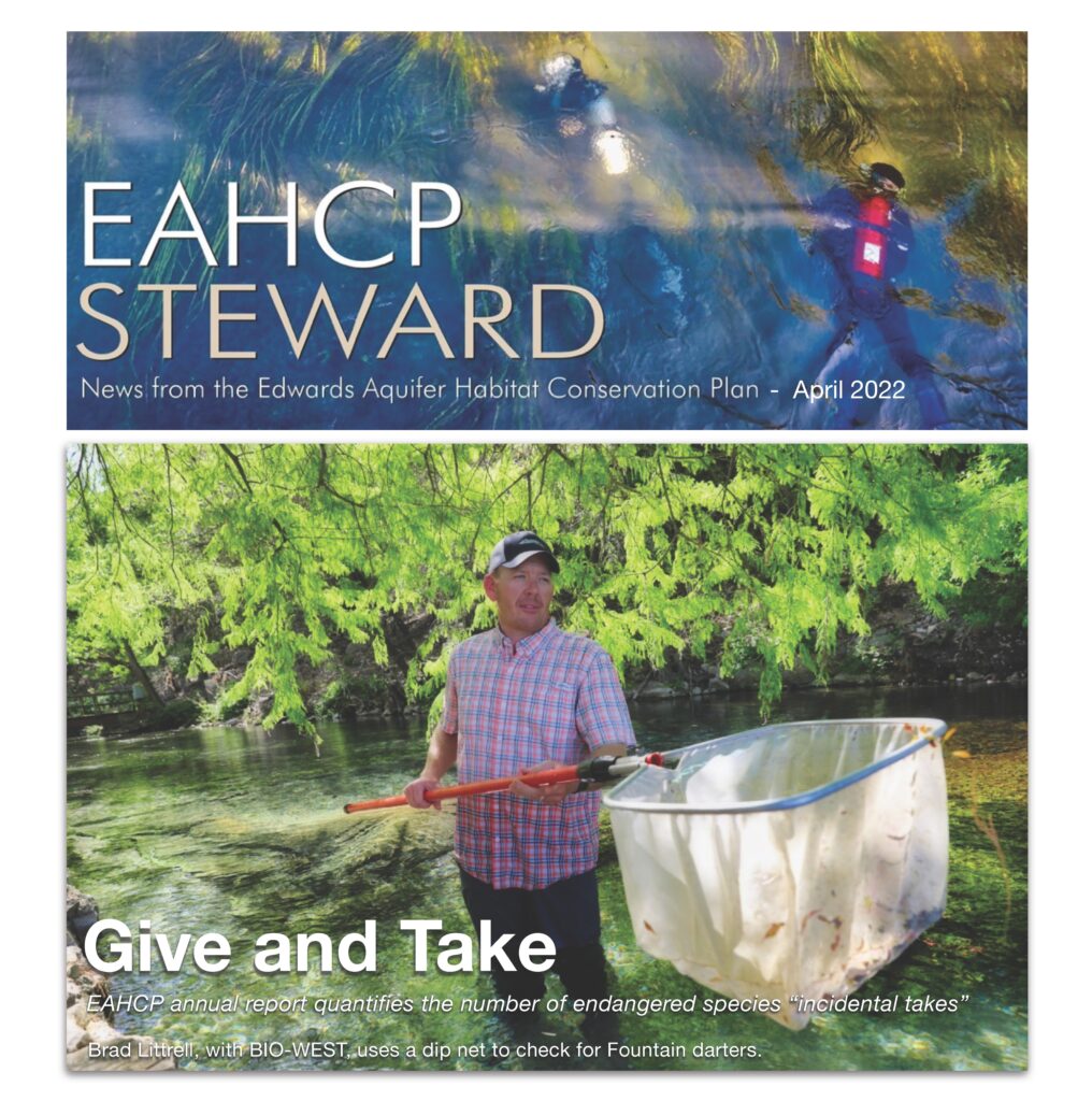 A cover photo from the Edwards Aquifer Habitat Conservation Plan Steward April 2022 Newsletter. The Cover story is titled Give and Take, and the photo features BIO-WEST's Brad Littrell holding a dip net which he is using to check for Fountain Darters.