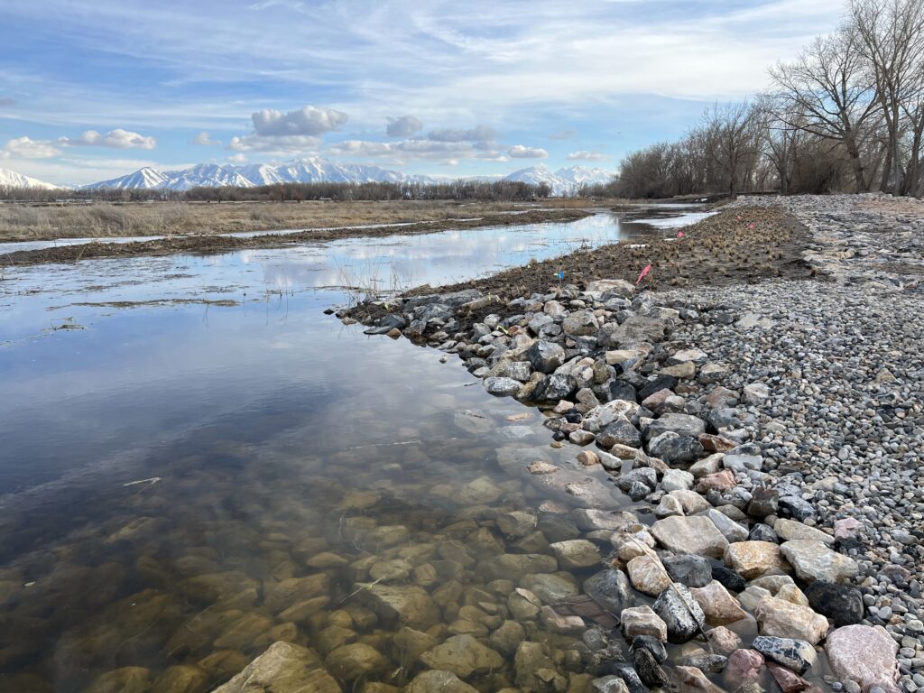 The diversity of habitats and function supported by the restored delta will provide the necessary conditions for more juvenile June sucker to grow large enough to survive in Utah Lake.